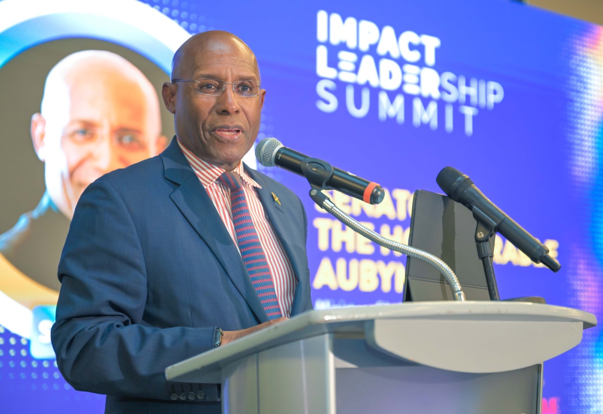 Jamaica | Business Leaders Urged to Capitalise on Jamaica’s Strong ...